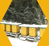 ibm035