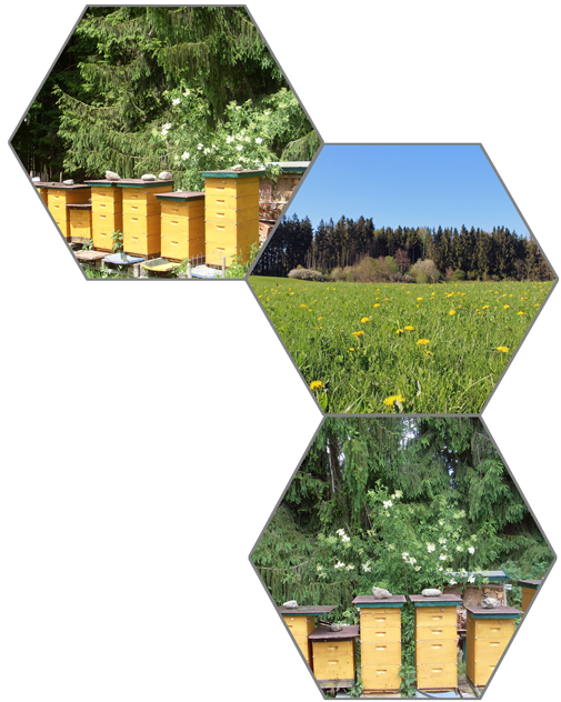 Bienenstand
