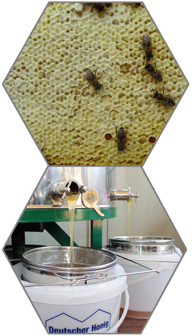 Bienenstand